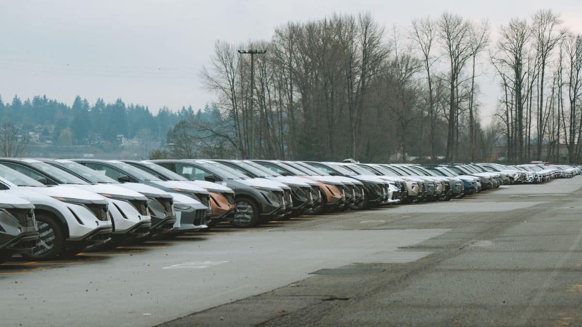 A long row of new cars parked in a lot